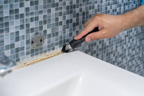 Best Mold Remediation  in Idabel, OK